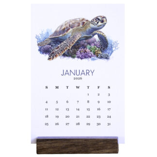 2026 Desk Calendar - Ocean Life - Scuba Diving